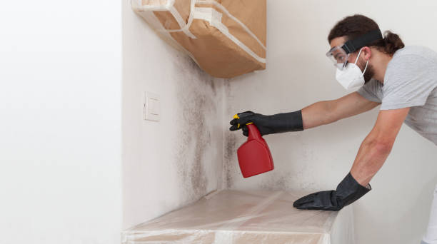 Professional Mold Testing technician working in Wayland, MA