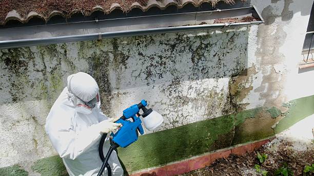 Trusted Commercial Mold Remediation service in Wayland, MA - Cheap Mold Removal
